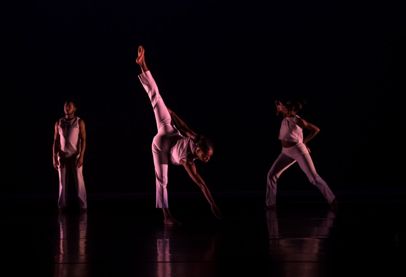 Ailey Citigroup Theater/ APAP conference